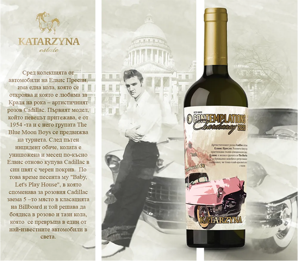Campaign panel — Aston Martin story