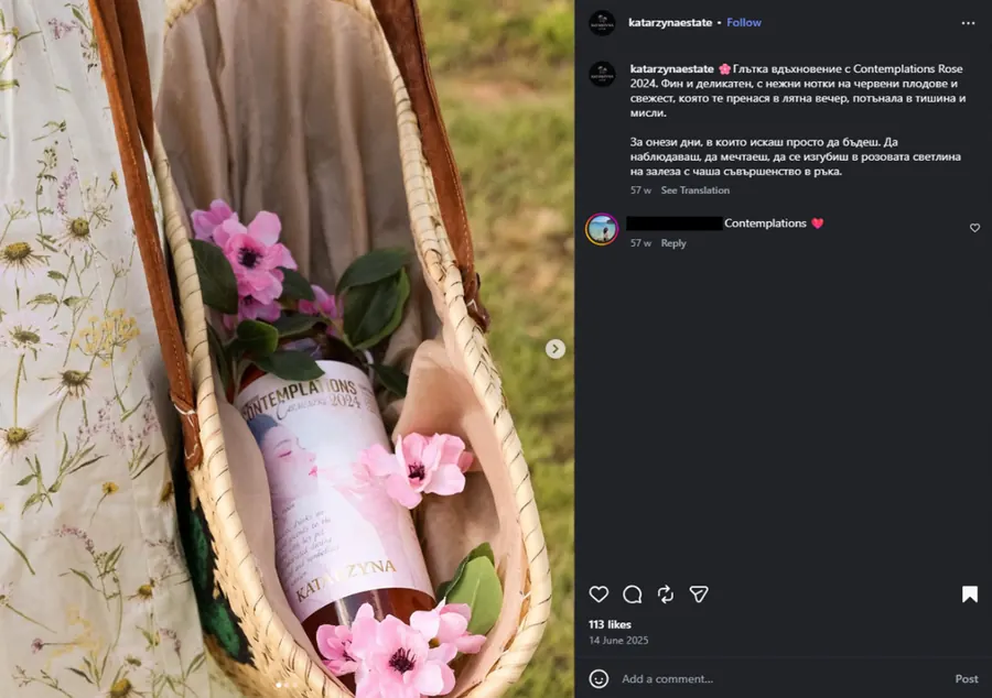 Instagram post — Rosé picnic photography
