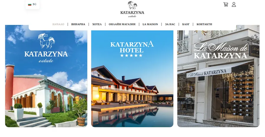Katarzyna Estate website design